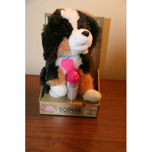 stuffed berner